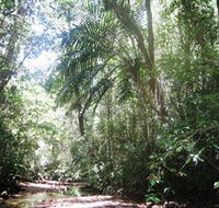 Mount Lewis National Park - Accommodation Gold Coast