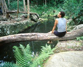 Barron Gorge National Park - Gold Coast 4U 1