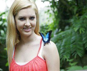 Australian Butterfly Sanctuary - Gold Coast 4U 0