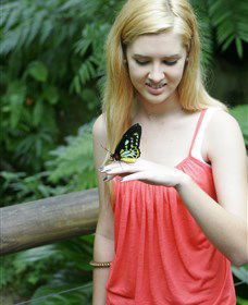 Australian Butterfly Sanctuary - Gold Coast 4U 1