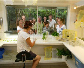 Australian Butterfly Sanctuary - Gold Coast 4U 3