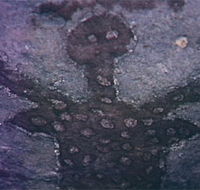 Quinkan Reserves Ancient Rock Art - Accommodation Gold Coast