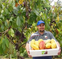 Sweet Farm Tours - Accommodation Gold Coast