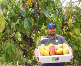 Sweet Farm Tours - Accommodation Gold Coast 0