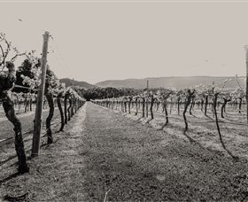 Halls Gap Estate - Accommodation Gold Coast 0