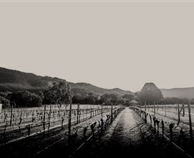 Halls Gap Estate - Accommodation Gold Coast 1