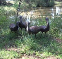 East Tolans Farm Tour - Gold Coast 4U