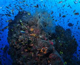 SS Yongala Dive Site - Accommodation Gold Coast 1