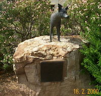 Dingo Statue - Accommodation Gold Coast