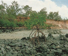 Garig Gunak Barlu National Park - Accommodation Gold Coast 3