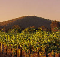 Taltarni Vineyards - 1 Gold Coast