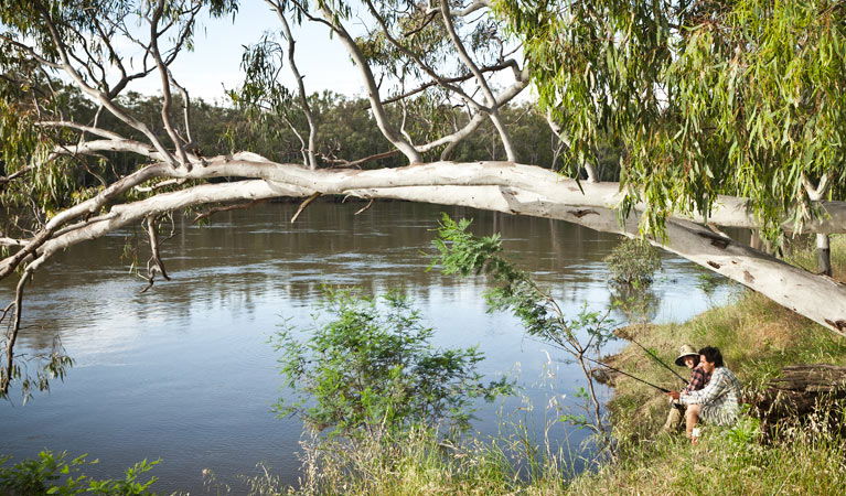 Bullatale NSW Gold Coast 4U
