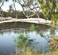 Murray Valley National Park - Gold Coast 4U