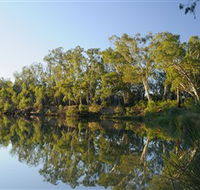 iWaterSki - Accommodation Gold Coast