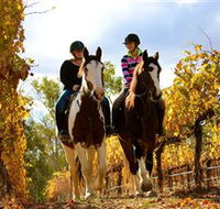 Billabong Ranch - Accommodation Gold Coast
