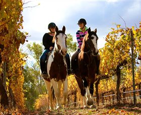 Billabong Ranch - Accommodation Gold Coast 0