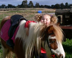 Billabong Ranch - Accommodation Gold Coast 1