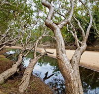 Oyala Thumotang National Park CYPAL - Accommodation Gold Coast