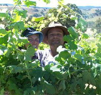 Wimmera Hills Winery - 1 Gold Coast