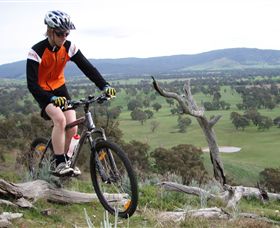 Wimmera Hills Winery - 1 Gold Coast 2