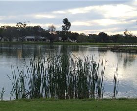 Luke Park - Accommodation Gold Coast 2