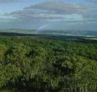 Mount Richmond National Park - Accommodation Gold Coast