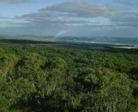 Mount Richmond National Park - Accommodation Gold Coast 0