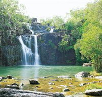 Cedar Creek Falls - Accommodation Gold Coast