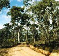 Paddys Ranges State Park - Accommodation Gold Coast