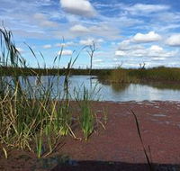 Gwydir Wetlands - Accommodation Gold Coast
