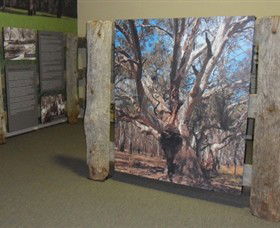 Barmah Forest Heritage And Education Centre - Accommodation Gold Coast 2