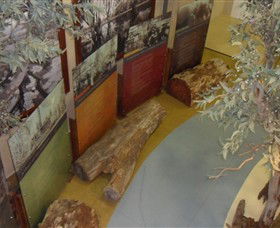 Barmah Forest Heritage And Education Centre - Accommodation Gold Coast 4