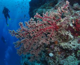  Accommodation Gold Coast