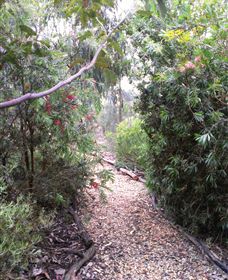 Timandra By The Sea - Accommodation Gold Coast 8