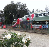 The Big Strawberry - Accommodation Gold Coast
