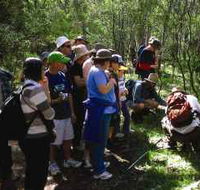 Warrumbungle National Park Discovery Program - Accommodation Gold Coast