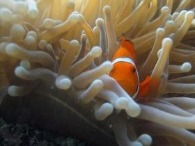Whitsundays QLD Accommodation Gold Coast