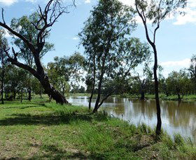 Seplin Estate Wines - Accommodation Gold Coast 1