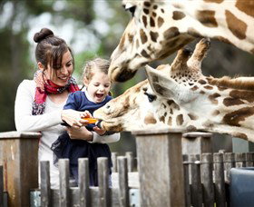 Taronga Western Plains Zoo, Dubbo - Accommodation Gold Coast 0
