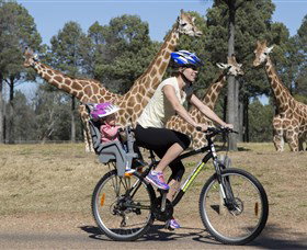 Taronga Western Plains Zoo, Dubbo - Accommodation Gold Coast 2