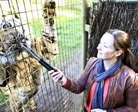 Taronga Western Plains Zoo, Dubbo - Accommodation Gold Coast 3