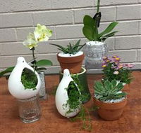 Cobram Florist - Accommodation Gold Coast