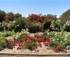 Barooga Botanical Gardens - Accommodation Gold Coast 2