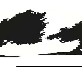 Ariah Park 1920s Heritage Village - 1 Gold Coast 3