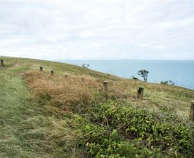 Cape Palmerston National Park - 1 Gold Coast 3