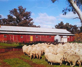 Savernake Day Tours - Accommodation Gold Coast 1