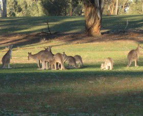 Savernake Day Tours - Accommodation Gold Coast 4