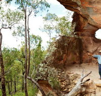 Pilliga National Park - Accommodation Gold Coast