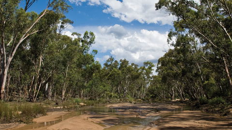 Pilliga National Park - Gold Coast 4U 2