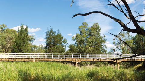Pilliga National Park - Gold Coast 4U 3